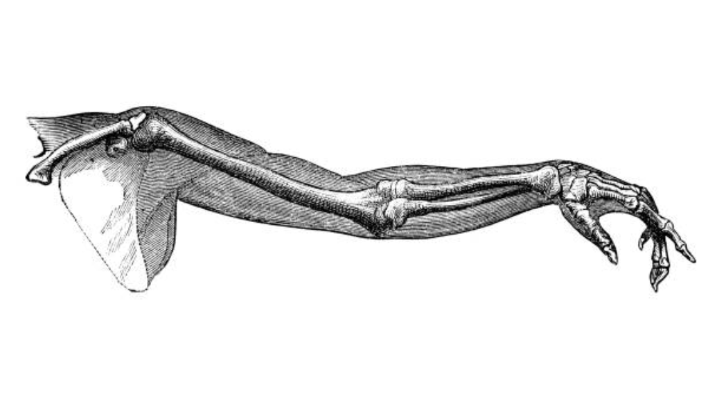 Symposium 2023 visuel