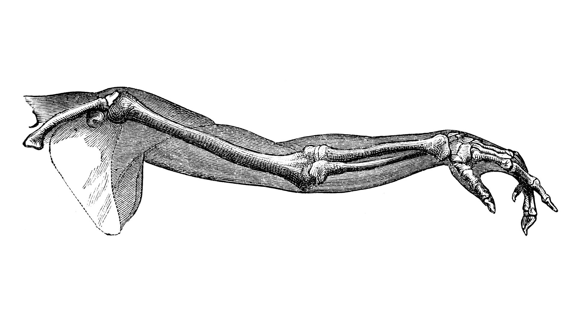 22e Symposium romand d'ostéopathie et de physiothérapie