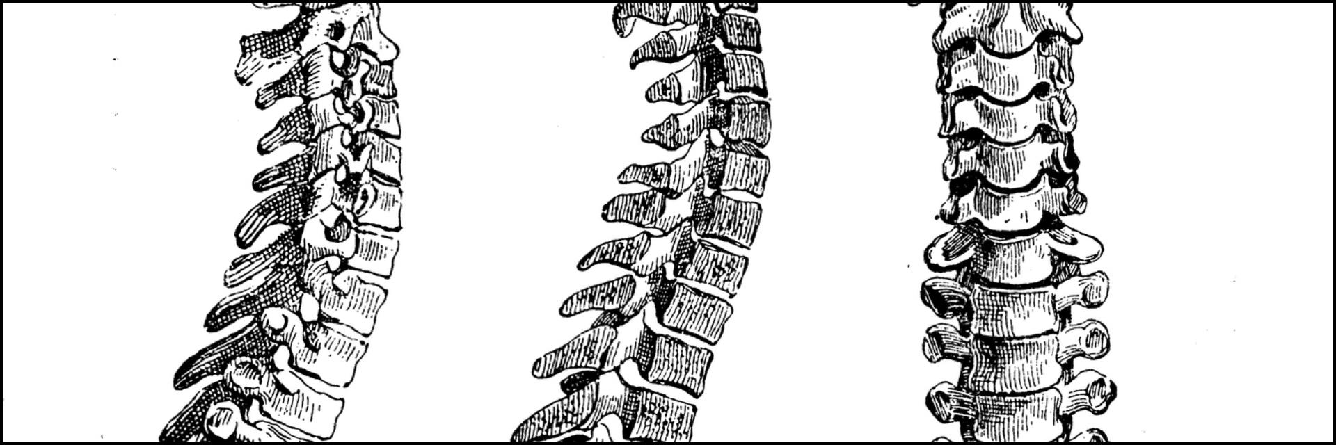 Slider Formation pratique rachis cervical 2026