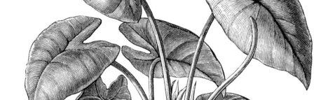 Slider Symposium 2025