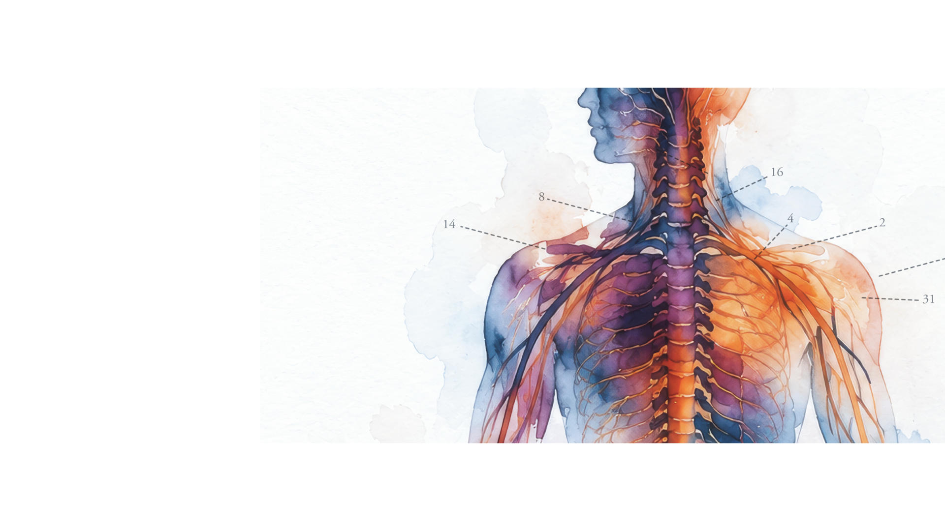 SliderHOME - Ensemble contre la douleur : coordonner les expertises, inclure les patient·es