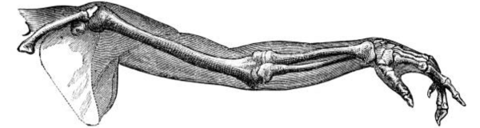 22e Symposium - banner carrée