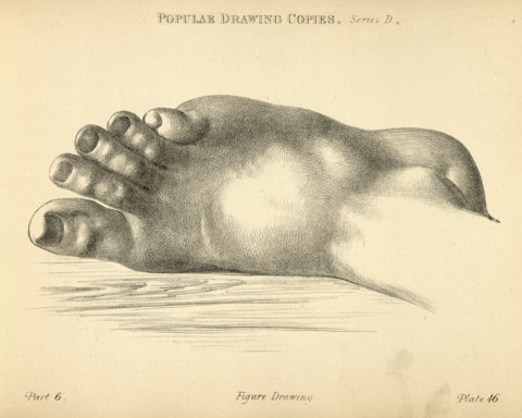 Pied et cheville - banner carrée - 26 avril 2024