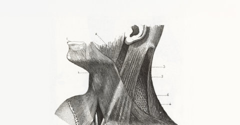 WEBINAIRE | Dissection d'artère cervicale